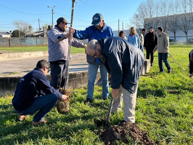 Semana del rbol: plantacin junto a combatientes de Malvinas